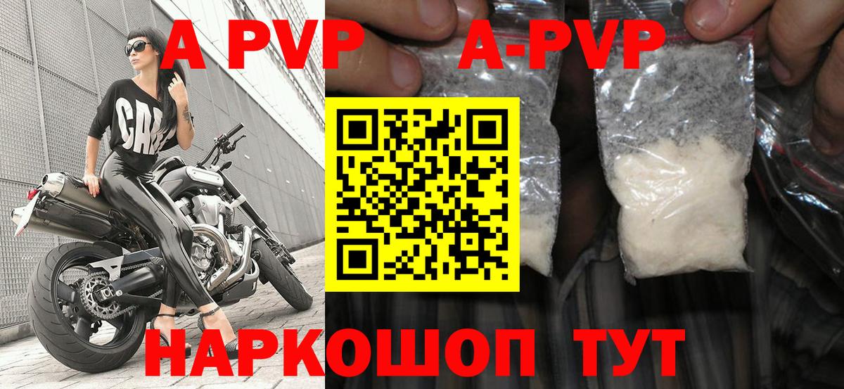 A PVP СК КРИС Рязань