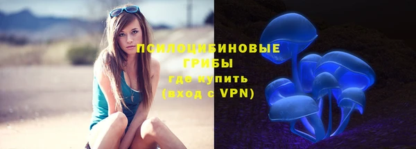 2c-b Новодвинск