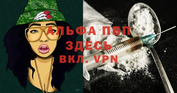 a pvp Новозыбков