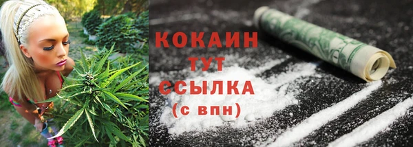 2c-b Новодвинск