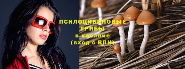 тгк Нея
