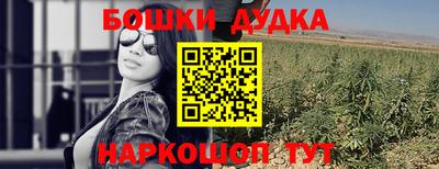 прущие крисы Бийск