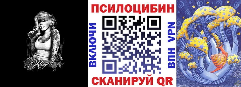 Псилоцибиновые грибы Psilocybine cubensis  Рязань 