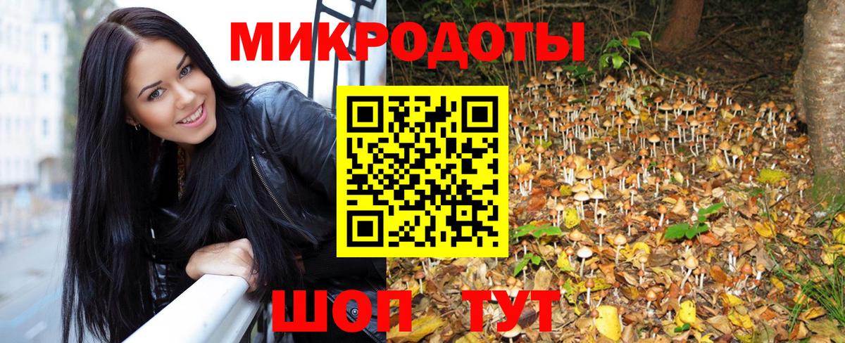 Псилоцибиновые грибы Cubensis  Вход с VPN  Рязань 