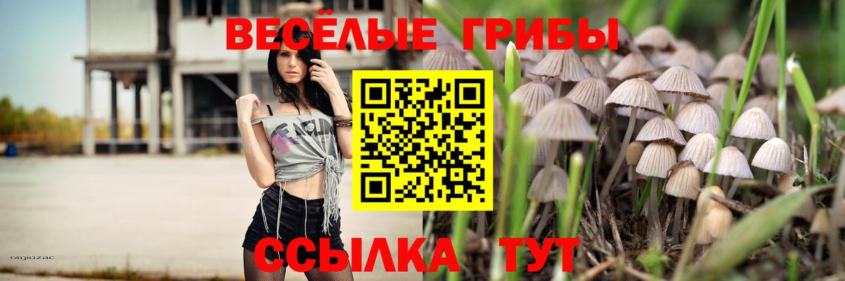 Псилоцибиновые грибы ЛСД Рязань